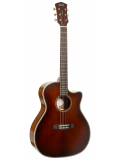Essence-GA4 Special (Brown Burst Semi Gloss), зображення 1